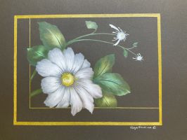 Through the Window EPacket Robyn Brooks CDA